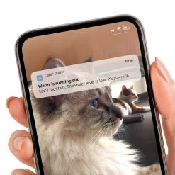 Catit Pixi Smart Drinking Fountain For Cats -Dog Supply Store 022517437513 5