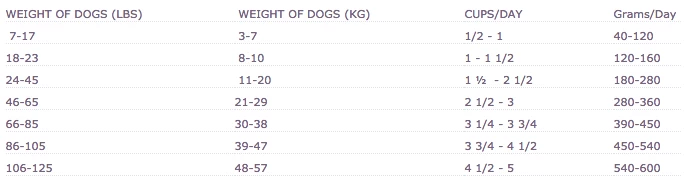 Wellness Complete Health Natural Chicken Recipe Dry Dog Food 2 Wellness Complete Health Natural Chicken Recipe Dry Dog Food - Image 2