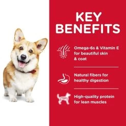 Hill's Science Diet Adult Small Bites Chicken & Barley Recipe Dry Dog Food -Dog Supply Store 12426 1557509421 31090018 f365 49c2 a8c8 29423786180d