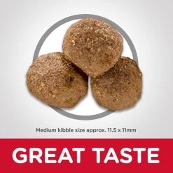 Hill's Science Diet Adult Lamb Meal & Brown Rice RecipeDry Dog Food 13 Hill's Science Diet Adult Lamb Meal & Brown Rice RecipeDry Dog Food -Dog Supply Store 12428 1575567211 e81f83cc b05c 4c72 bde5 b98be41a02dd