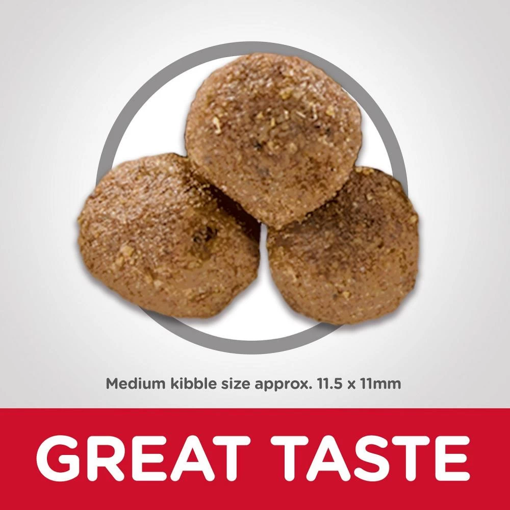 Hill's Science Diet Adult Lamb Meal & Brown Rice RecipeDry Dog Food 6 Hill's Science Diet Adult Lamb Meal & Brown Rice RecipeDry Dog Food - Image 6