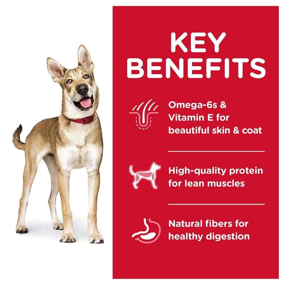 Hill's Science Diet Adult Lamb Meal & Brown Rice RecipeDry Dog Food 2 Hill's Science Diet Adult Lamb Meal & Brown Rice RecipeDry Dog Food - Image 2