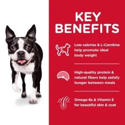 Hill's Science Diet Adult Light Small Bites Chicken Meal & Barley Dry Dog Food 11 Hill's Science Diet Adult Light Small Bites Chicken Meal & Barley Dry Dog Food -Dog Supply Store 12437 1579207190 f9469e7c cace 4a38 851d 4570ae8440fc