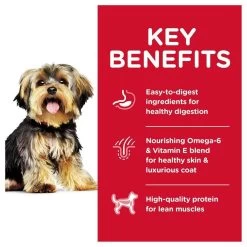 Hill's Science Diet Adult Small & Toy Breed Chicken Meal & Rice Dry Dog Food -Dog Supply Store 12443 1557757283 5b896254 8a4e 4e76 a275 1b10622c26f1