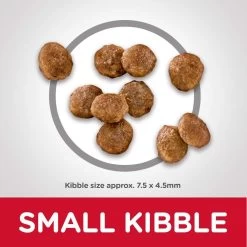 Hill's Science Diet Adult Small & Toy Breed Chicken Meal & Rice Dry Dog Food -Dog Supply Store 12443 1579208577 5d298cd6 e056 4e21 874f 0a73f0f38af0