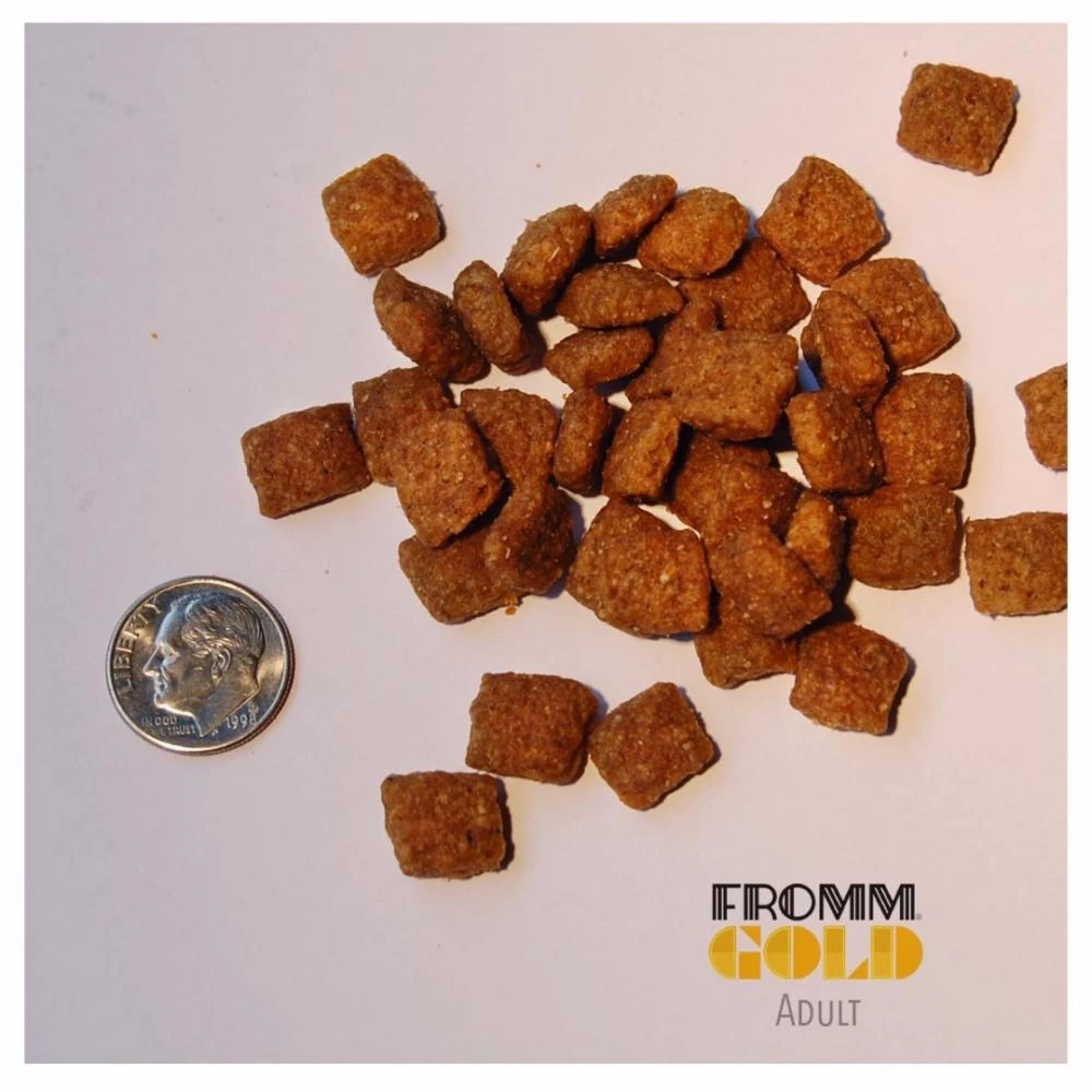 Fromm Gold Grain Inclusive Adult Dry Dog Food 2 Fromm Gold Grain Inclusive Adult Dry Dog Food - Image 2
