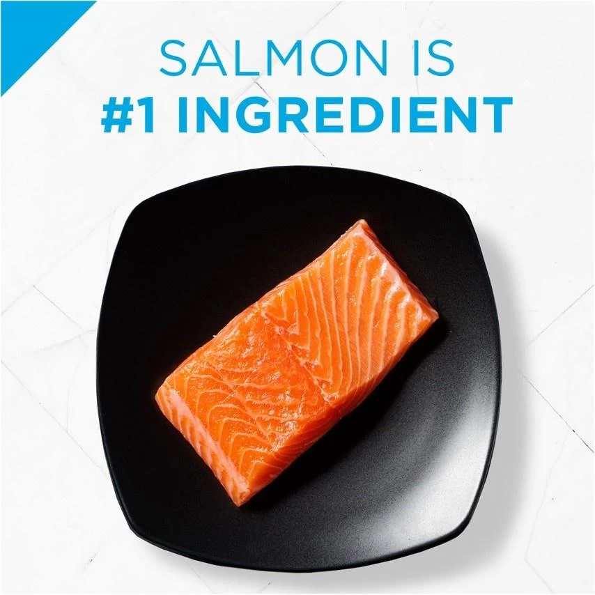 Purina Pro Plan Sensitive Skin & Stomach Formula Salmon & Rice Formula Dry Dog Food 4 Purina Pro Plan Sensitive Skin & Stomach Formula Salmon & Rice Formula Dry Dog Food - Image 4