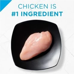 Purina Pro Plan Focus Puppy Chicken & Rice Formula Dry Dog Food -Dog Supply Store 16077 1555596643