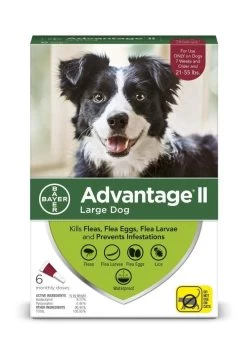 Bayer Advantage II Flea & Lice Preventative For Dogs