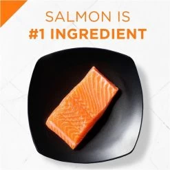 Purina Pro Plan Savor Adult Salmon & Rice Formula Dry Cat Food -Dog Supply Store 31529 1555619657 73b61a96 d1c3 4f98 a867 7054fc6e2e7c