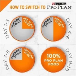 Purina Pro Plan Savor Adult Salmon & Rice Formula Dry Cat Food -Dog Supply Store 31529 1555619688 a7b49267 47cb 4f2f b429 e6548f107f5c