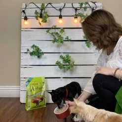 Grandma Lucy's Artisan Grain Free Lamb Freeze Dried Dog Food -Dog Supply Store 31933 1581375549