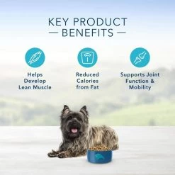 Blue Buffalo Life Protection Healthy Weight Natural Chicken & Brown Rice Recipe Small Breed Adult Dry Dog Food -Dog Supply Store 33309 1556047878 2a25a8b9 549f 4e6b 9cfb f727633e3665