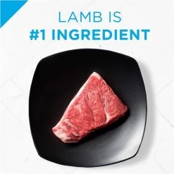 Purina Pro Plan Focus All Life Stages Small Bites Lamb & Rice Dry Dog Food -Dog Supply Store 33567 1555598806 3552f5f8 9a96 4965 b7c8 1a6dab5c6703