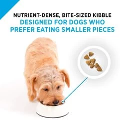 Purina Pro Plan Focus All Life Stages Small Bites Lamb & Rice Dry Dog Food -Dog Supply Store 33567 1597432385