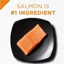 Purina Pro Plan Adult Shredded Blend Salmon & Rice Formula Dry Dog Food 8 Purina Pro Plan Adult Shredded Blend Salmon & Rice Formula Dry Dog Food -Dog Supply Store 37035 1570481715