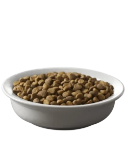 Purina Pro Plan Savor Adult Salmon & Rice Formula Dry Cat Food -Dog Supply Store 43558 1564170181 345a63e9 8faf 4528 a0d2 632194416015