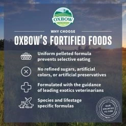 Oxbow Animal Health Essentials Adult Rat Food All Natural Adult Rat Food 8 Oxbow Animal Health Essentials Adult Rat Food All Natural Adult Rat Food -Dog Supply Store 46907 1614269140