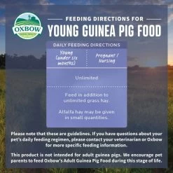 Oxbow Animal Health Essentials Young Guinea Pig Food All Natural Guinea Pig Pellets 11 Oxbow Animal Health Essentials Young Guinea Pig Food All Natural Guinea Pig Pellets -Dog Supply Store 46911 1614269763