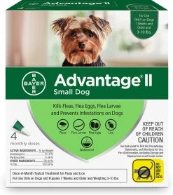 Bayer Advantage II Flea & Lice Preventative For Dogs 7 Bayer Advantage II Flea & Lice Preventative For Dogs -Dog Supply Store BayerAdvantageIISmallDog 0237add4 3e09 4ff6 9eca 48b5e2d15641