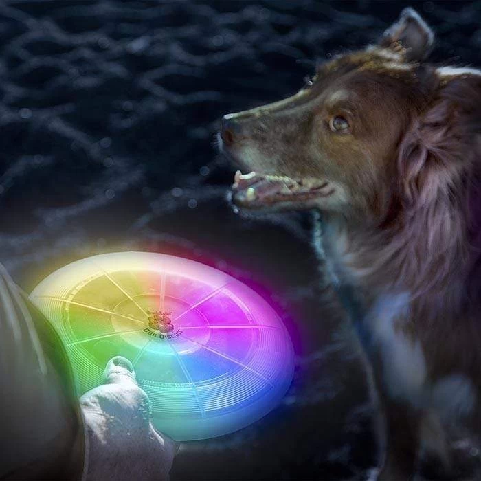 Nite Ize Flashfight Dog Discuit LED Flyin Disc Toy For Dogs 3 Nite Ize Flashfight Dog Discuit LED Flyin Disc Toy For Dogs - Image 3