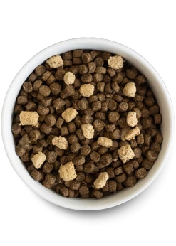 Open Farm Ancient Grains RawMix Wild Ocean Recipe Dog Food -Dog Supply Store PDP Images DryDog RawMix 2023 BOWL 548x768 crop center 59461b3c 57a9 45d3 af9f 4ac1da6822b7
