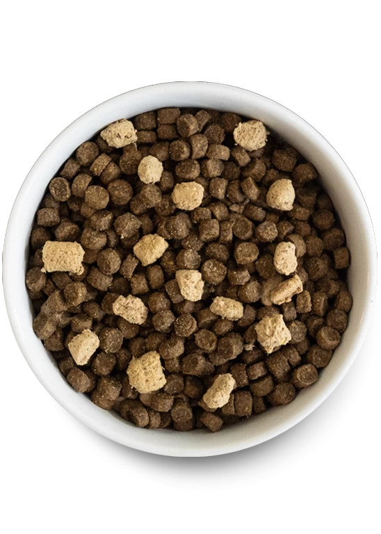 Open Farm Grain-Free RawMix Front Range Recipe Dog Food 3 Open Farm Grain-Free RawMix Front Range Recipe Dog Food - Image 3