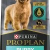 Purina Pro Plan Focus Puppy Chicken & Rice Formula Dry Dog Food