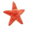 Fluff & Tuff Ziggy Starfish Plush Dog Toy