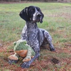 Tall Tails Animated Frog Toy For Dogs 5 Tall Tails Animated Frog Toy For Dogs -Dog Supply Store animated frog dog toy lifestyle 2