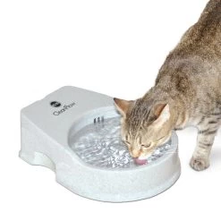 K&H Pet Products Cat Clean Flow