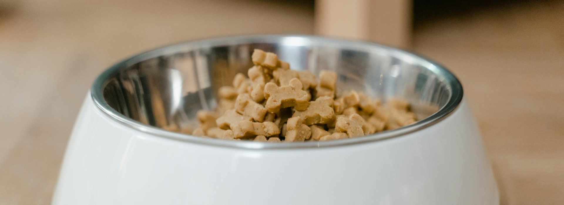 Dog Supply Store -Dog Supply Store pexels mart production 8434633